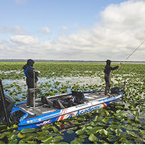 2019 Lake Kissimmee Major League Fishing Pro Tour Stage 1 Photo Gallery - Jacob Wheeler Fishing - Pro Bass Fishing Angler